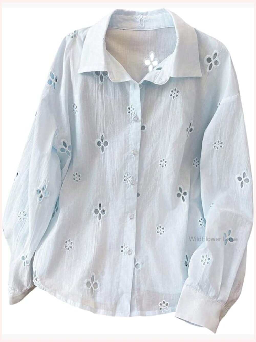 Button Down Eyelet Embroidered Blouse Long Sleeve Casual Fall Spring
